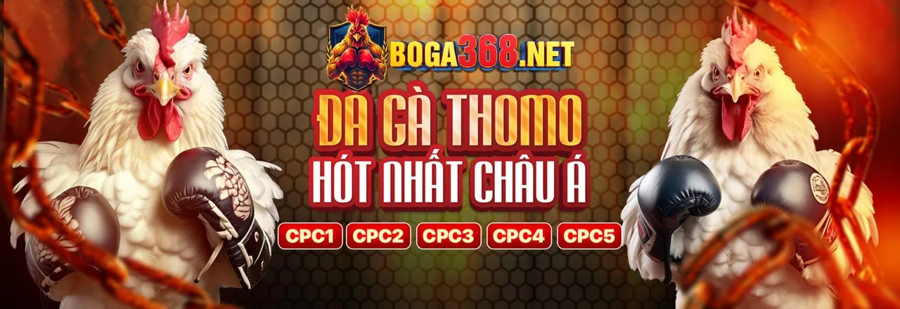 Sân đấu đá gà trực tuyến Win69
